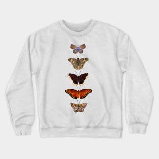 California Butterflies Crewneck Sweatshirt